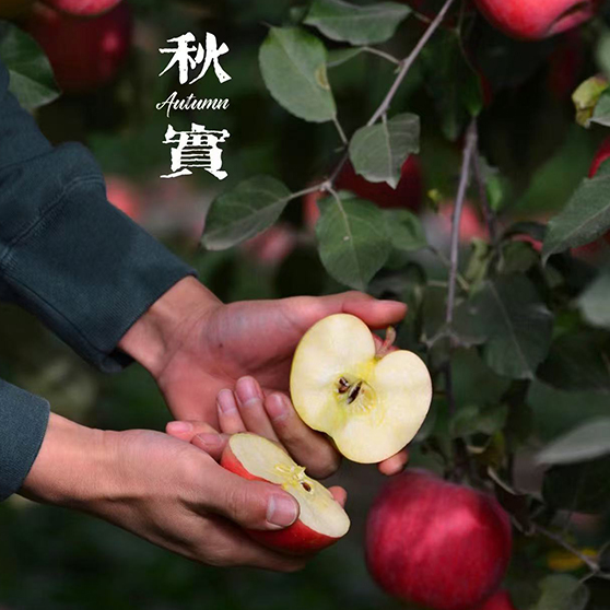 Organic Farming | Younature Farm 